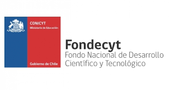 Llamado a presentarse al Concurso Nacional de Becas de Postdoctorado Fondecyt 2020